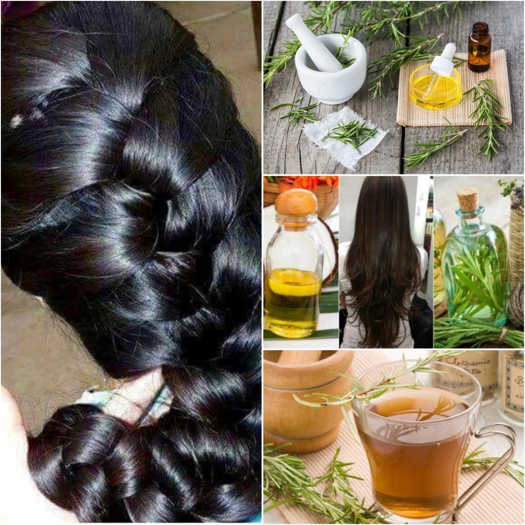 Agua De Romero Para El Cabello, Beneficios Y ¡cómo Prepararla!